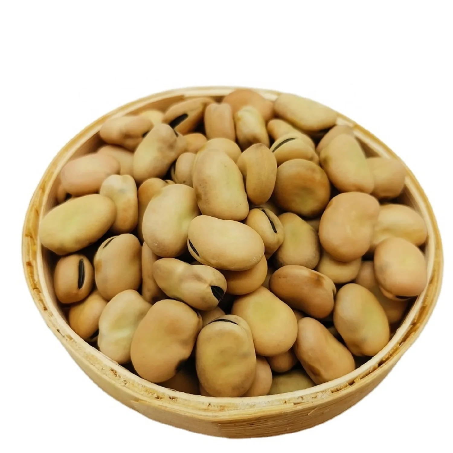 2023 Crop Broad Beans Green Color Fava Beans 70-80 USA Origin
