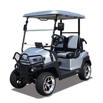 EEC high yield strength tubular steel approved 2 seater golf cart Z2 silvery