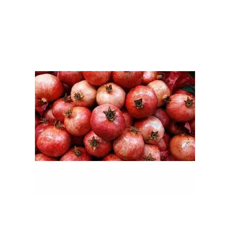 Sweet and Sour Fresh Pomegranates in Bulk Quick Air Cargo Delivery From Brazil