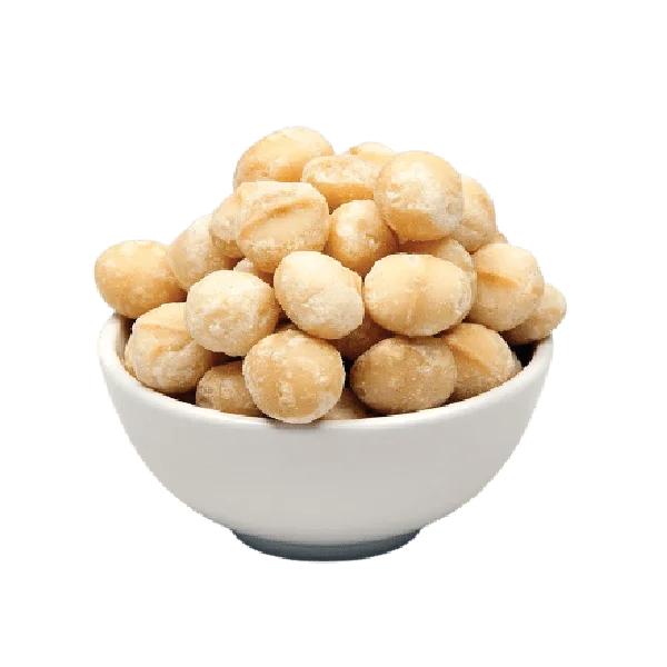 High Quality Organic Macadamia Nut in Shell Bulk Export Best Price for Roasted Dried Snack Use Certified Organic Cultivation