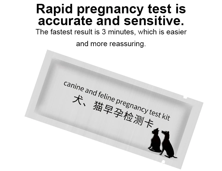 Pet Health Early Pregnancy Test Card For Dogs And Cats Buy Pregnancy
