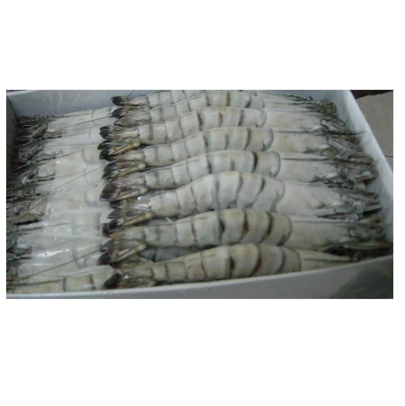 frozen fresh shrimp seafood black tiger prawn OEM box style packaging ...