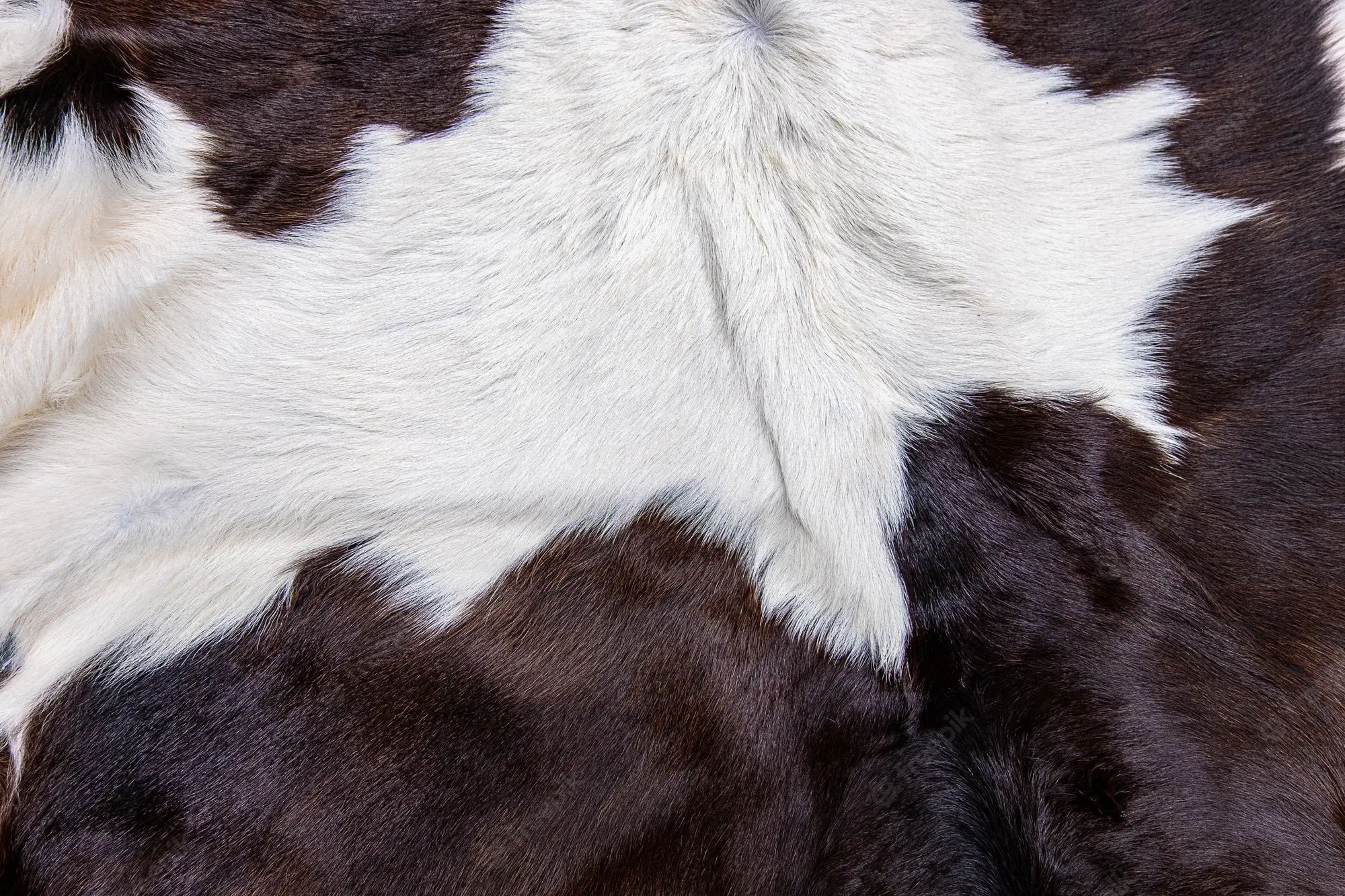 Best Quality Of Dry And Wet Salted Cow Hides / Skins / Animal Cattle ...