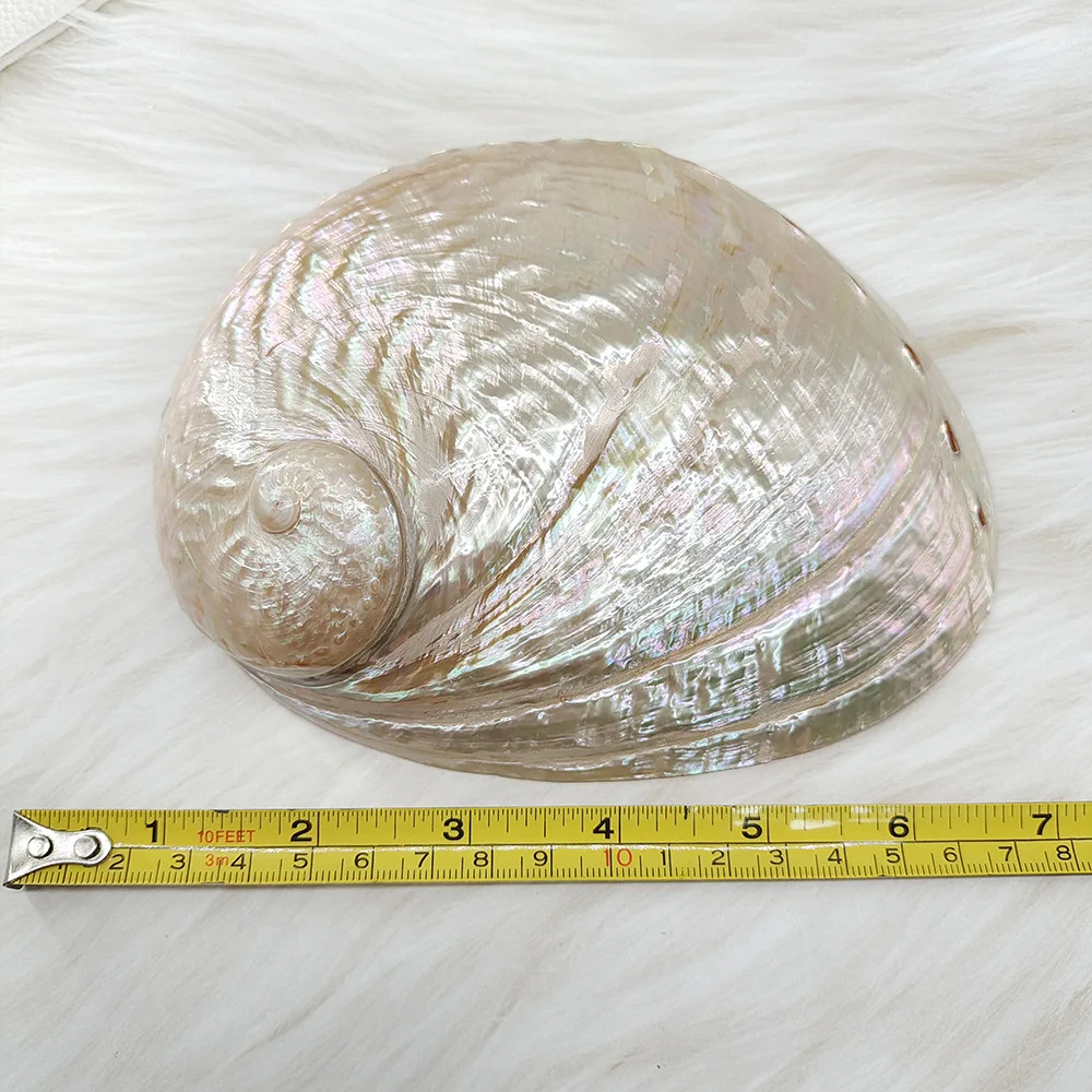 讀殼: 7月2017, image size:1000x1000