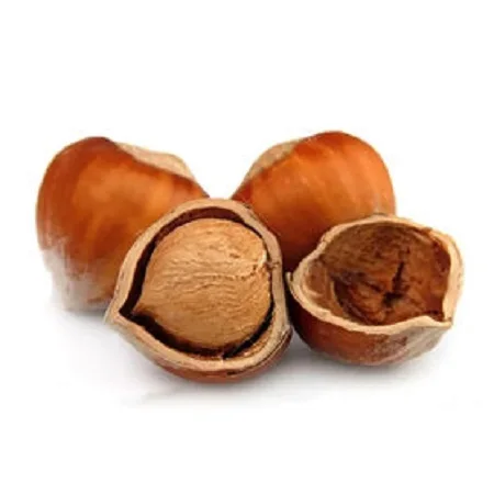 Hazelnuts 9.jpg