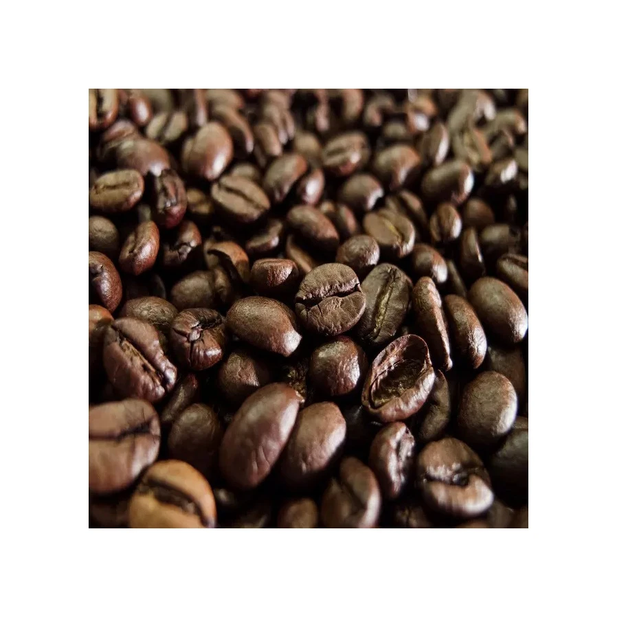 Wholesale Brazilian High Quality Green Beans Coffee With Best Price For
