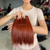 เกาลัด