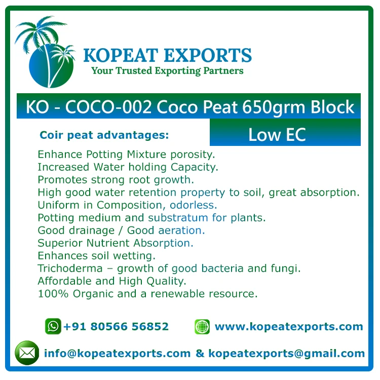 Direct Export Hot Selling Premium Coco Coir Pith Peat Block Powder for Garden Usage