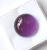 Pourpre