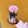 Rosa