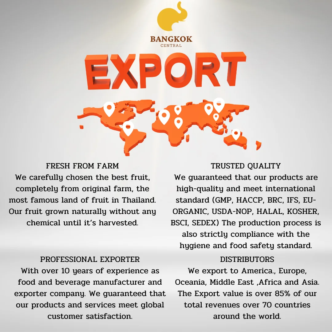 4 in 1 1/3 1/2 Pill Cutter Splitter Crusher Pulverizer Grinder Sturdy Tablet Adjustable From Thailand