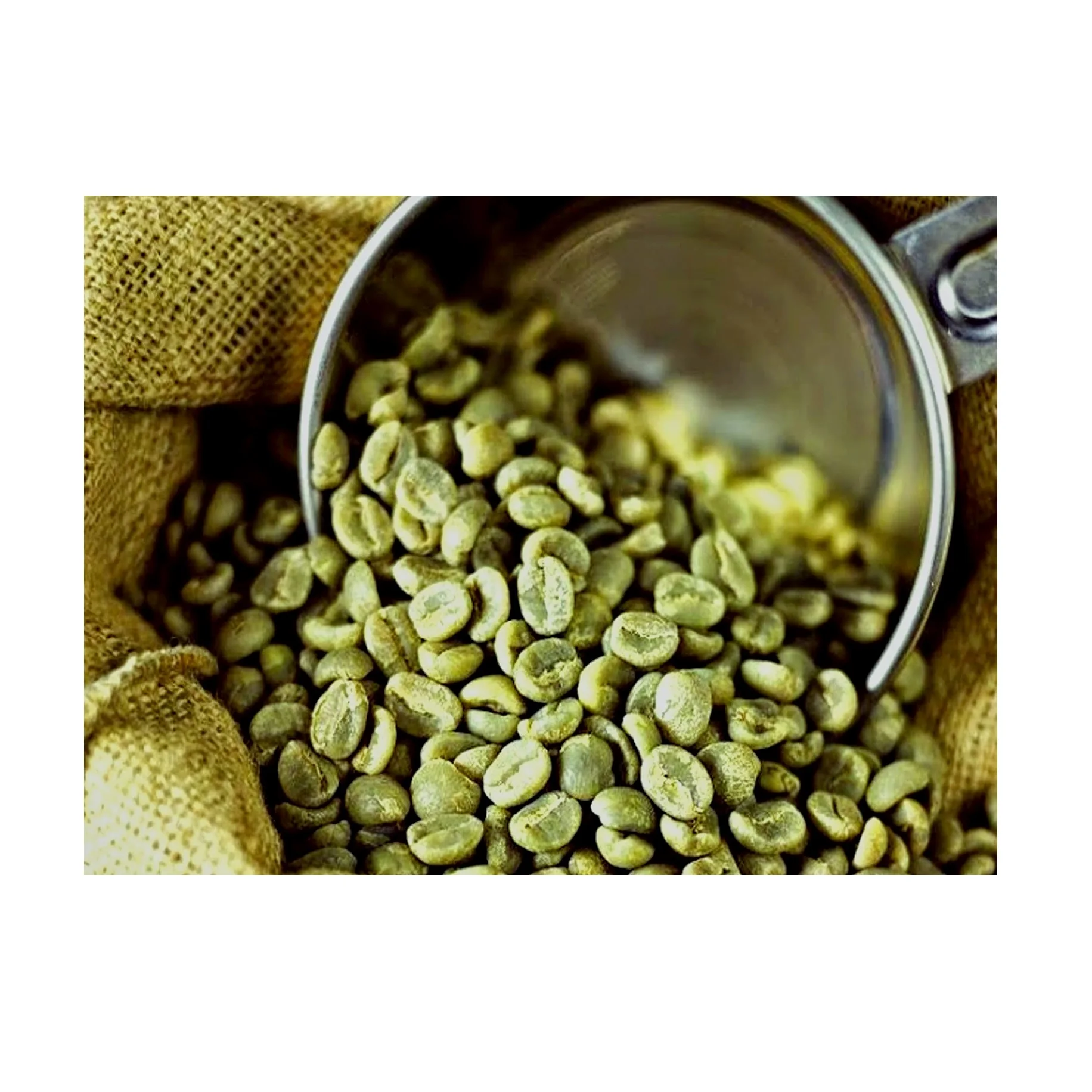 High Quality Pure Roasted Coffee Beans Arabic & Robusta Green Beans Buy Top Quality Roasted