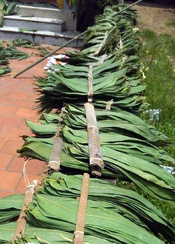 Af314e2e0db274f5eb37b6790aa834