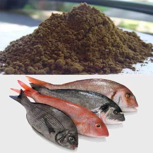 Fish Powder Wholesale - Fish Meal for Animal Feed, Pet Food, Fish Feed HIGH QUALITY and BEST PRICE
