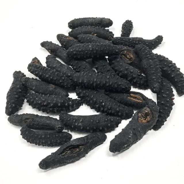 Wholesale High Quality dried sea cucumber buyers dry sea cucumber Cheap Price