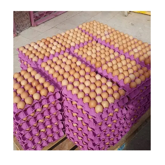 Fresh Chicken Table Eggs Fertilized Hatching Chicken Eggs,White And