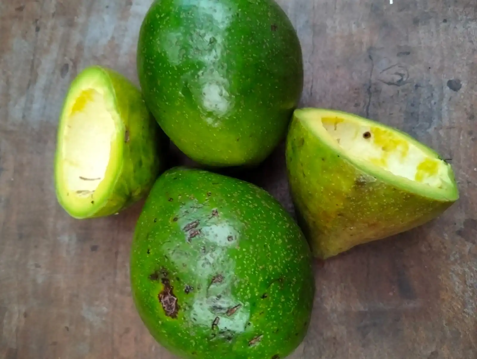 Wholesale Premium Quality Natural Avocado Fruit Best Selection Fresh Style From Indonesia