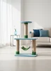 Blue&green
