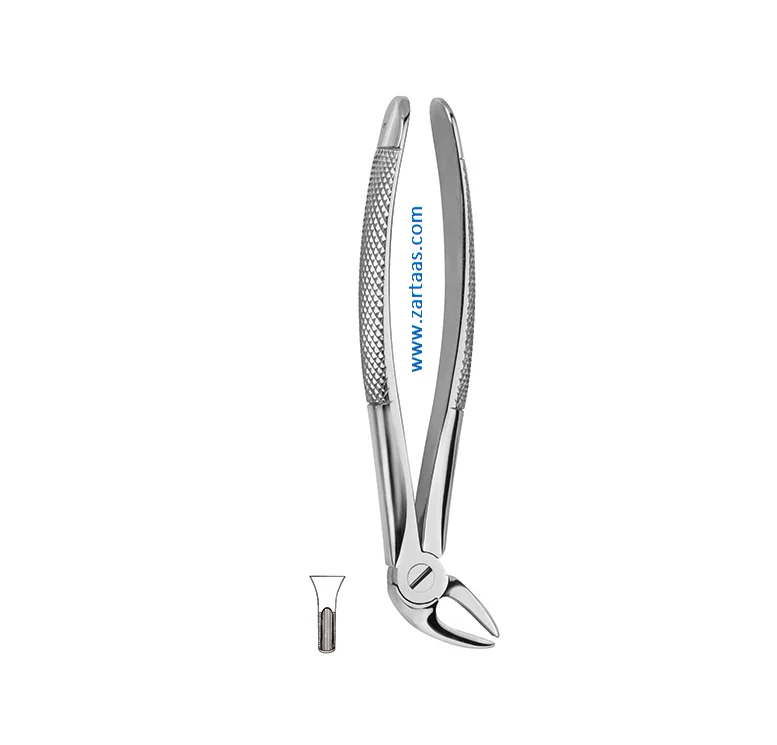 High Quality Stainless Steel Tooth Extracting Forceps Fig.4 Lower Canines and Bicuspids Surgical Dental Oral Surgery Tool