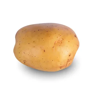 Quality Fresh HOLLAND IRISH Potatoes Suppliers