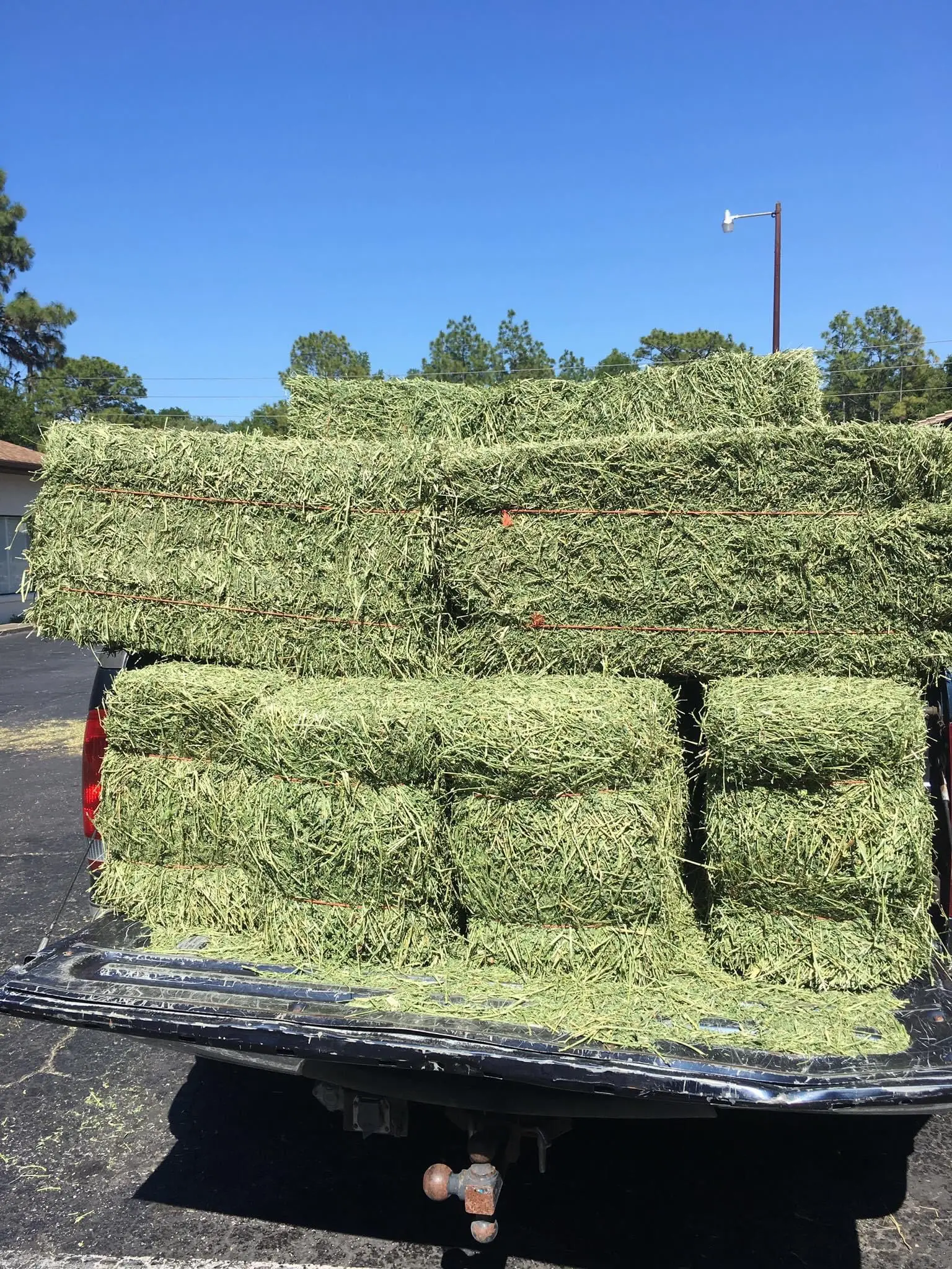 For product pricing, customization, or other inquiries Contact