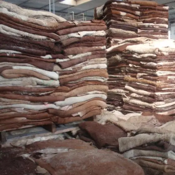 Wholesale High Quality Wet Salted Cow Hide For Sale/best Grade Wet Cow