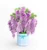 Lavanda