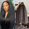 Wig 02