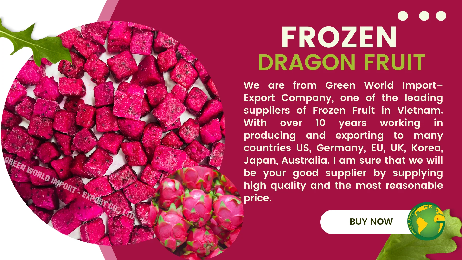 IQF FROZEN DRAGON FRUIT - RED & WHITE DRAGON FRUIT - FROZEN PITAYA WITH ...