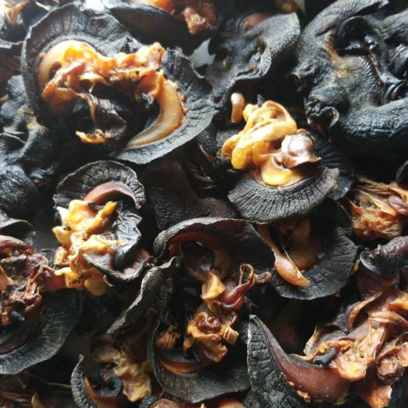 Frozen Snails,Dried African Giant Land Snails Meat Buy Snails,Snails