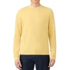Dusty Yellow