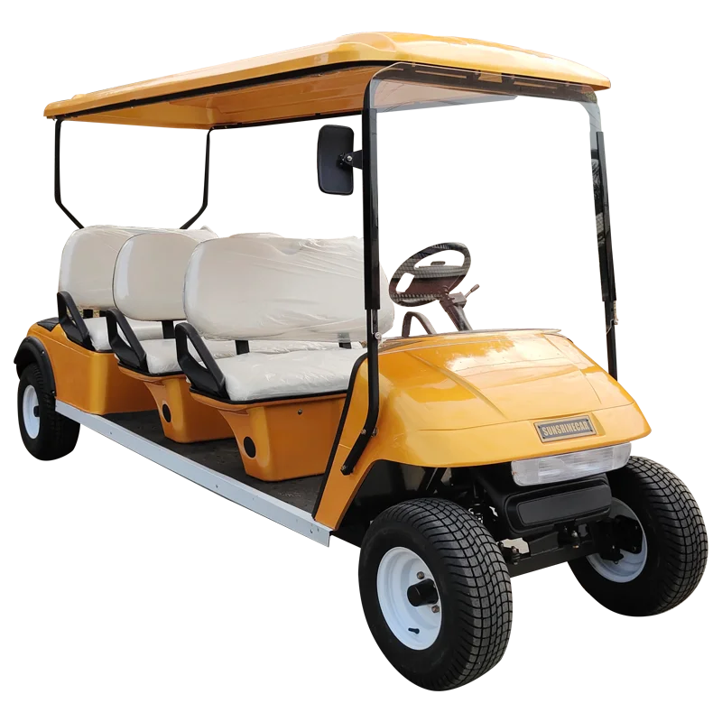 Hot Sale 2 Person Electric Mini Golf Cart Buy Golf Cart,Mini Gas