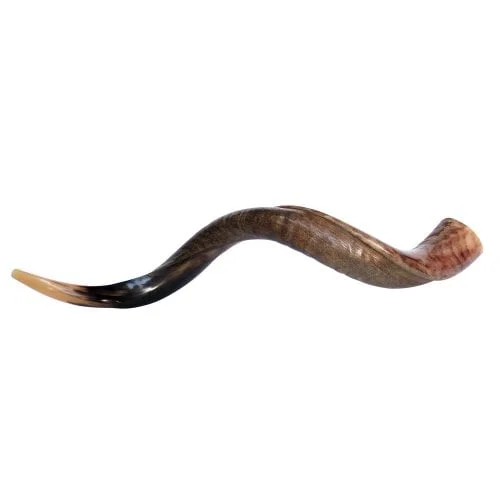 Best Quality Ram Horn Shofar Natural Horn Shofar For Blowing And