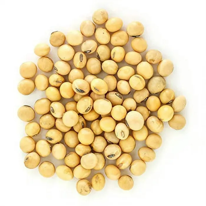 Wholesale Dry Nongmo Soybeans Packed In 50kg Bags/ Buy Bulk Soybeans