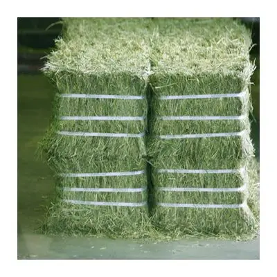 Quality Alfalfa Hay / Alfalfa Hay Pellets / Wheat Bran Pellets Cheap ...