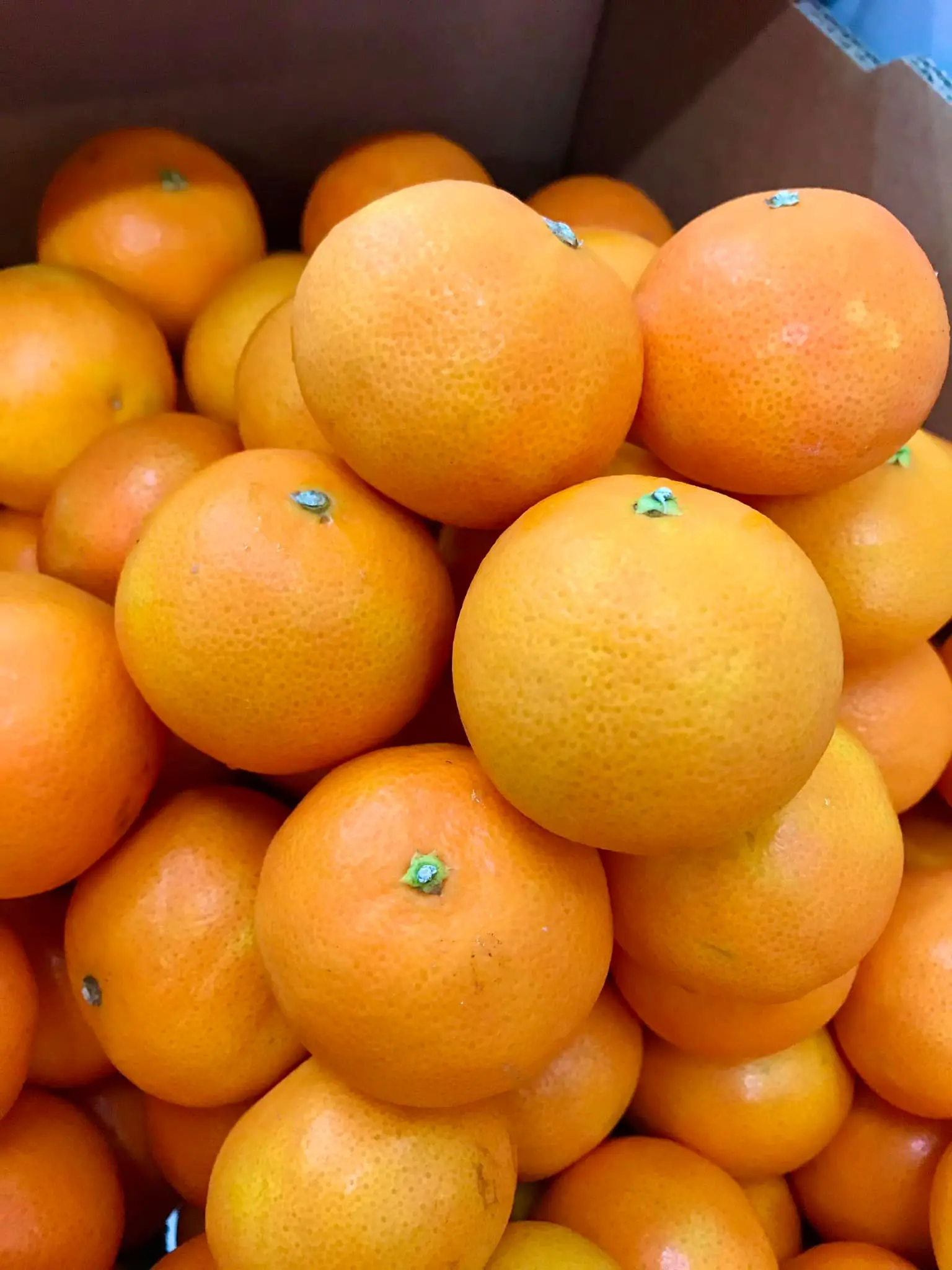 Fresh Navel Orange /fresh Mandarin Orange/south Africa Oranges Buy Fresh Fruits,Fresh Mandarin