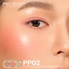 Pp02