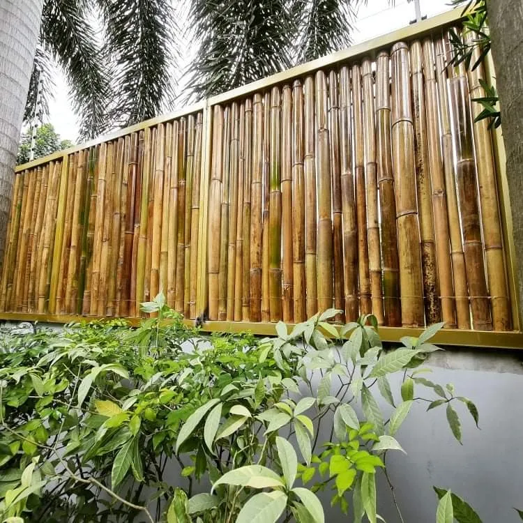FrangivistaPer Recinzione Giardino Canniccio Bambu Per Esterno Schermo Per La Privacy Del Balcone Ombreggiante Per Recinzione Modulare Bamboo Trellis Rotoli Di Canna Naturale Stuoia Cannette Arelle