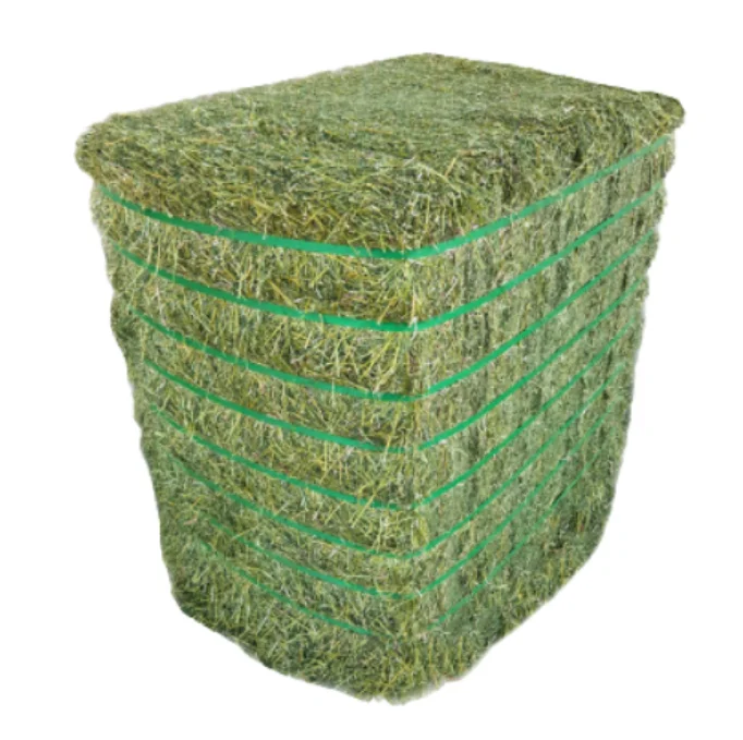 Bulk ALFAFA HAY READY for SUPPLY/ Alfalfa hay with High Protein for Animal Feeding in Bulk