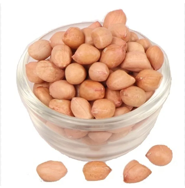 Best Price Natural Peanut Groundnut Bulk Product From Thailand  Natural Raw peanuts for Food