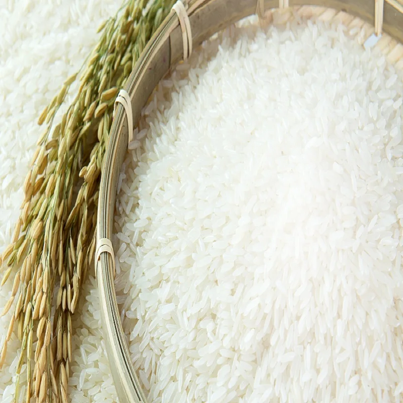 Jasmine rice1.jpeg