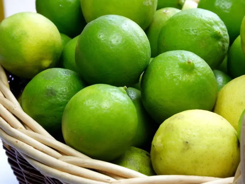 100% Natural Green Seedless Lime  Wholesale GREEN LEMON/ Citrus Fruit Fresh Lime Sour Taste Cheap Price From Vietnam