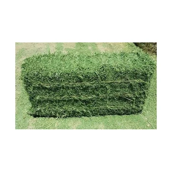 Photo inspiration: Visual Reference: Quality Alfalfa Hay Bays Pellets Dehydrated Alfalfa Cubes Hay Cheap
