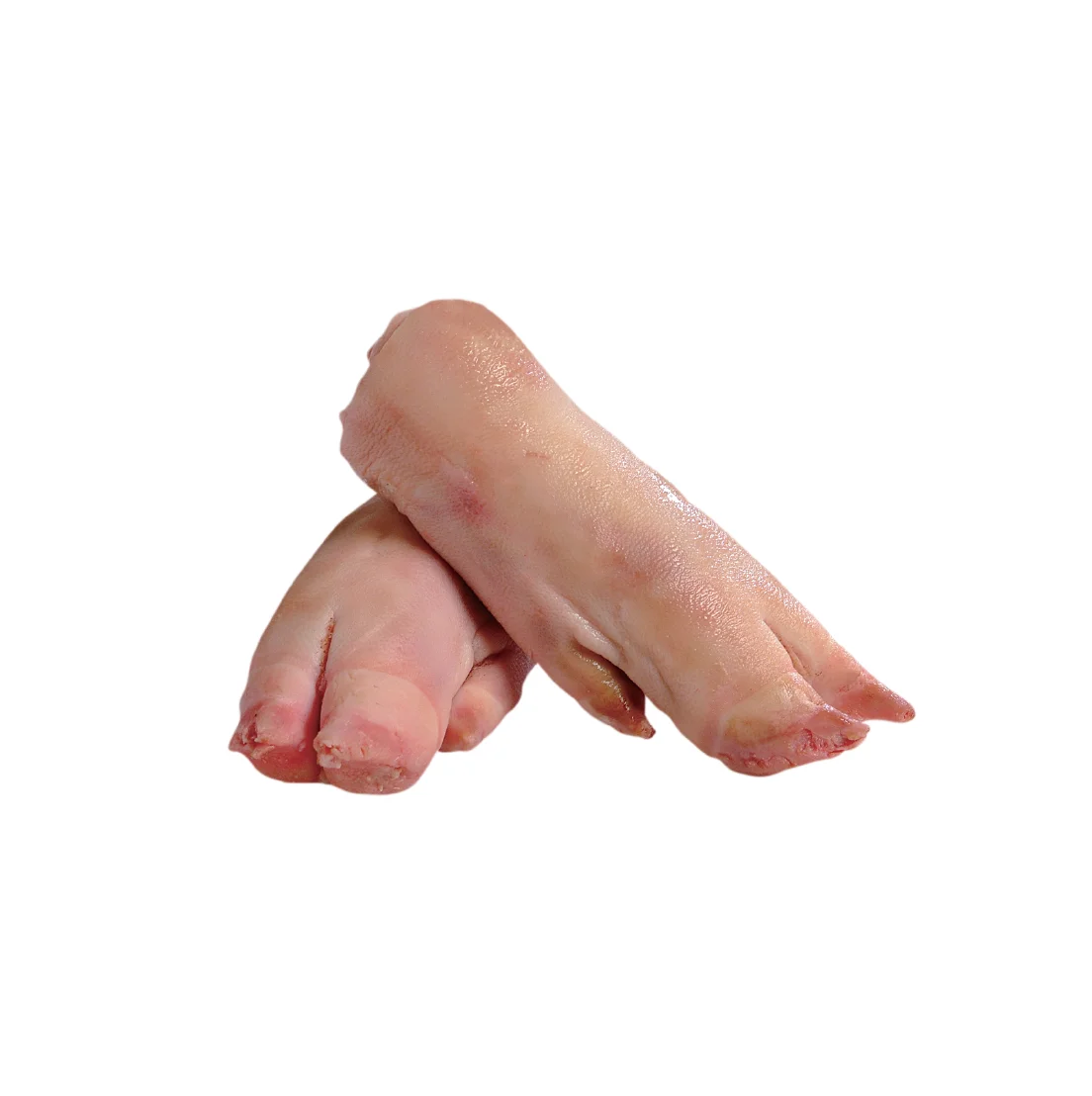 Premium Quality Frozen Pork Hind Feet Wholesale Best Price Buy Hind