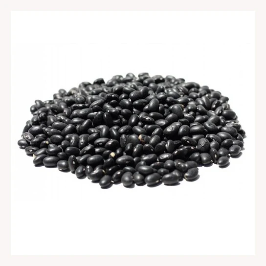 Best Quality Supplier Black Kidney Beans For Sale In Cheap Price