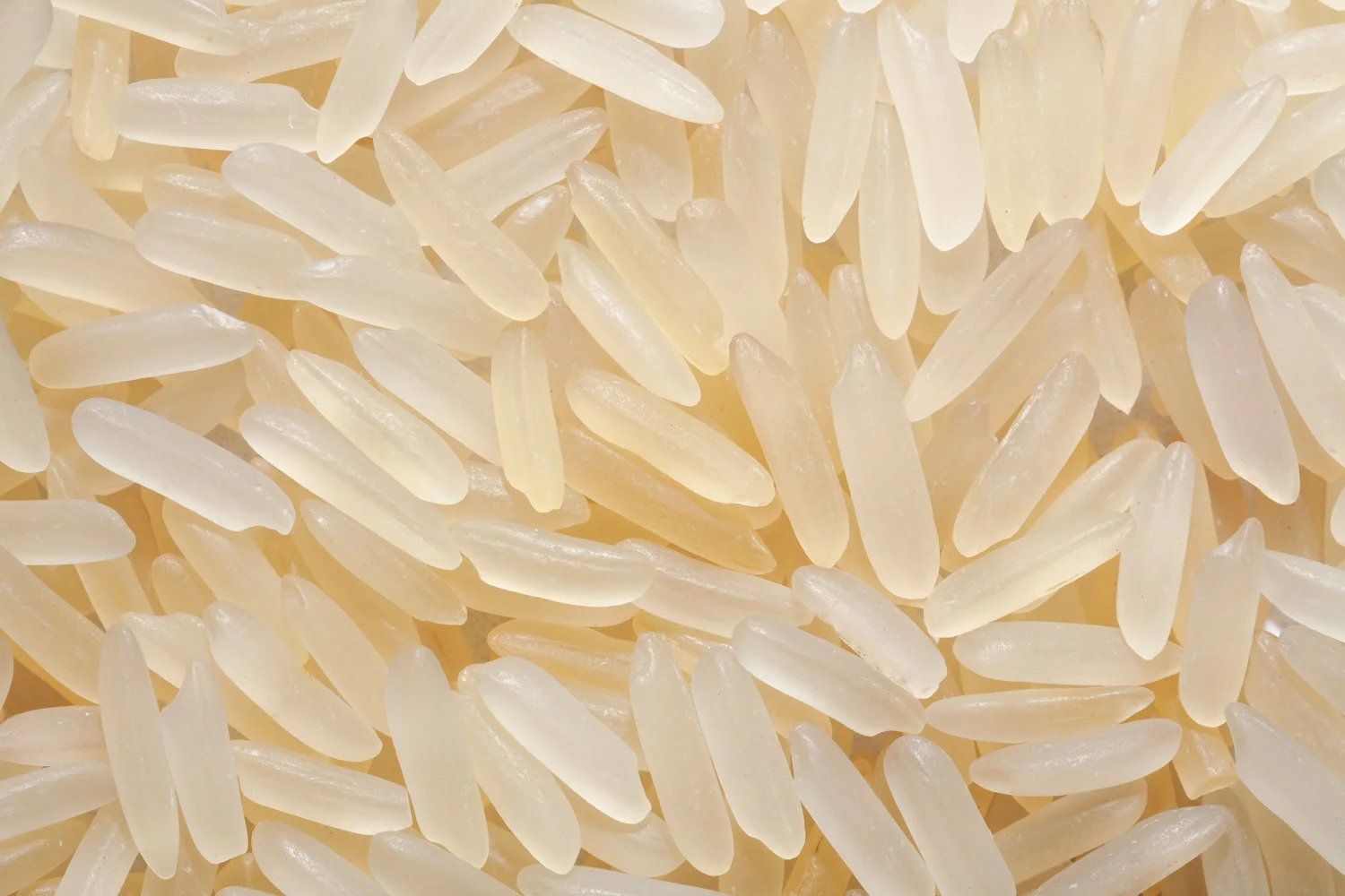 Thailand Long Grain White Rice Longgrain Rice 5 Broken Buy Export