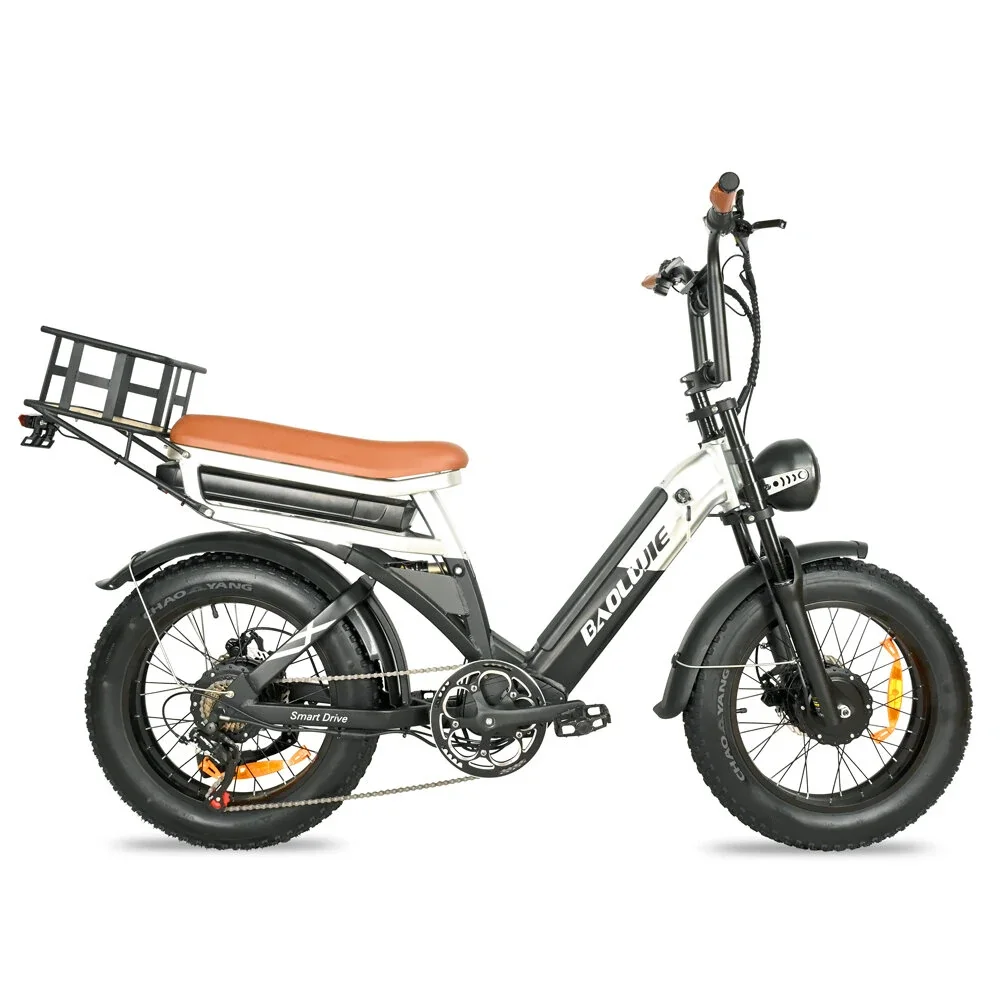 [EU DIRECT] BAOLUJIE DP2033 Electric Bike 48V 30AH Battery 1000W Motor 20inch Tires 90-100KM Max Mileage 120KG Max Load Electric
