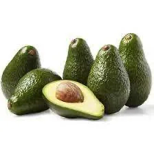 Best Quality Wholesale Fresh Produce Vegetable Buyer Avocado Fresh Grade Edible Avocado From the Farm