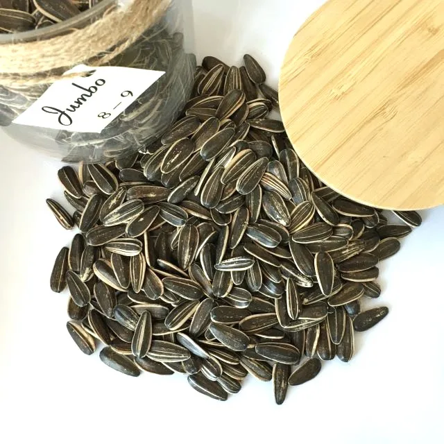 Cheap Price Good Quality Sunflower Seeds Sell Sunflower Seeds Sunflower Seeds Roster Brevis 361