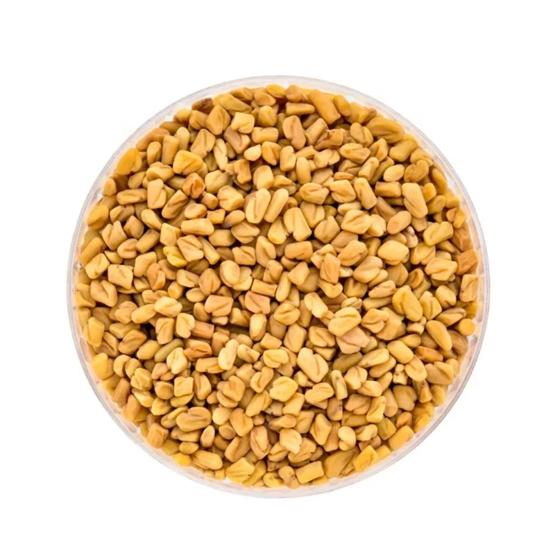 fenugreek seeds-2.jpg